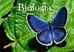 Etap szkolny Wojewódzkiego Konkursu Biologicznego grafika