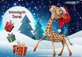 Już słychać kolędy, już pachnie świętami… grafika