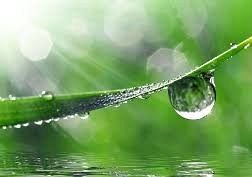 Mamy finalistów w Wojewódzkim Konkursie Biologicznym grafika