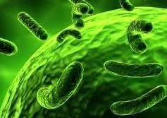 Miłośnicy biologii sprawdzili swoją wiedzę w etapie szkolnym konkursu grafika