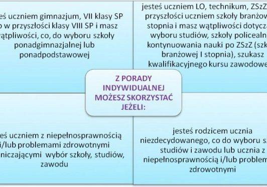 Doradztwo zawodowe grafika