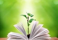 Wyniki etapu szkolnego Wojewódzkiego Konkursu Biologicznego grafika