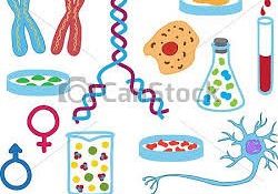 Wojewódzki Konkurs Biologiczny grafika