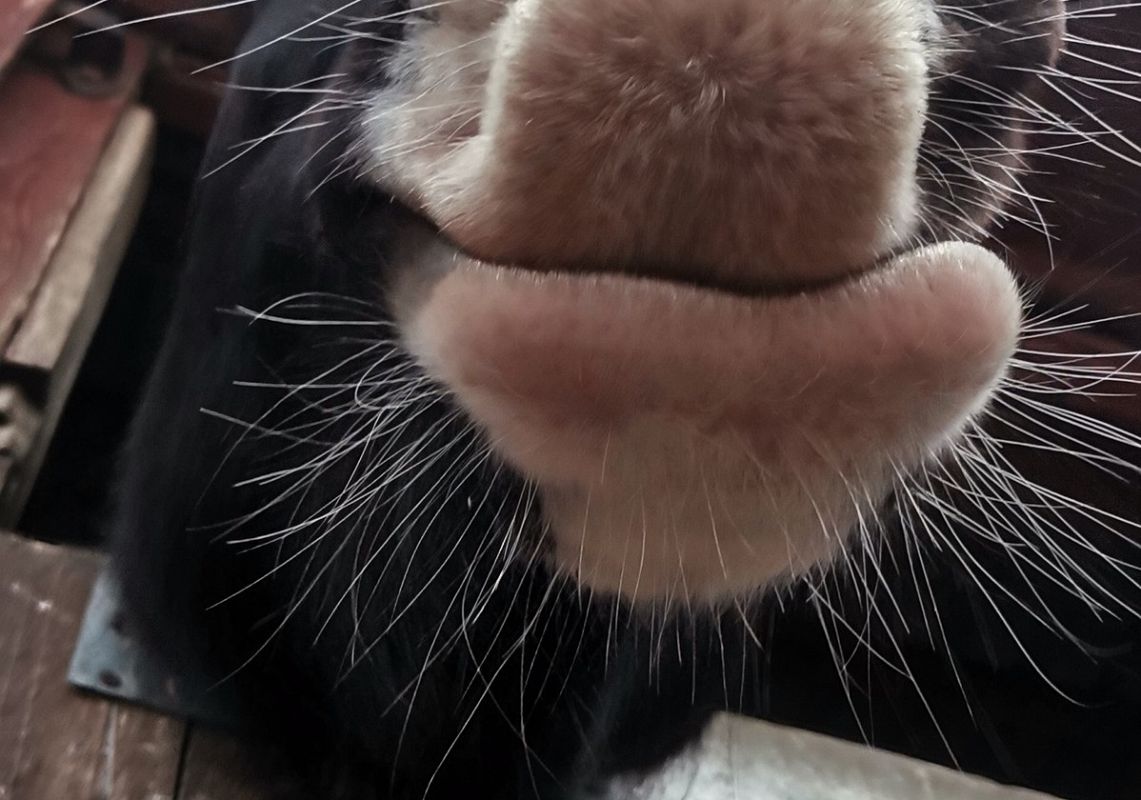 Rozstrzygnięcie konkursu fotograficznego grafika