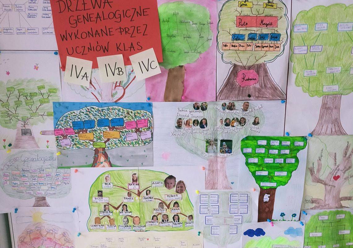 Drzewa genealogiczne w wykonaniu czwartoklasistów grafika
