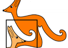 Mamy wyniki Kangura! grafika