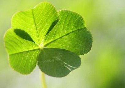 Recepta na szczęście grafika