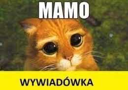 Spotkania z rodzicami grafika