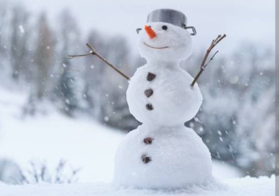 Zajęcia organizowane w okresie ferii zimowych w Szkole Podstawowej nr 1 w Lęborku  od 29.01.2024r. do 09.02.2024r. grafika