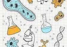 Konkurs biologiczny grafika