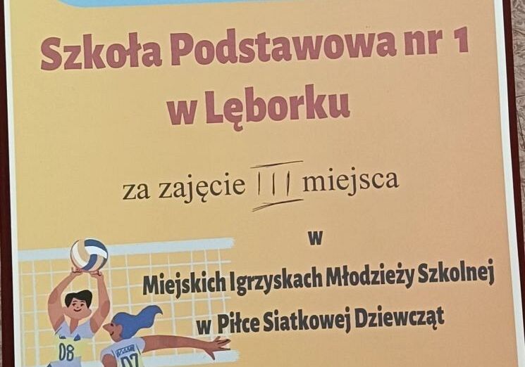 Igrzyska Młodzieży w Siatkówce grafika