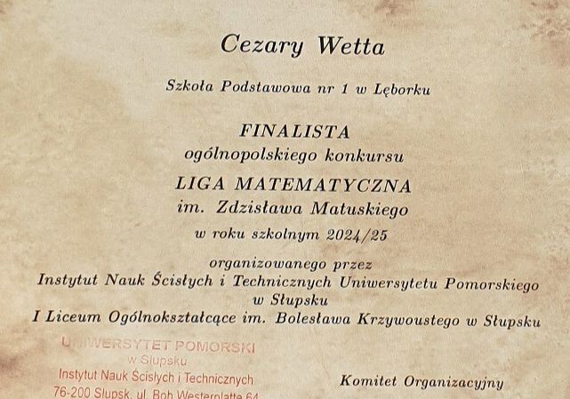 Finalista Matematycznej Ligi Zadaniowej im. Z.Matuskiego grafika