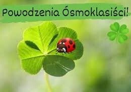 Egzamin ósmoklasisty grafika