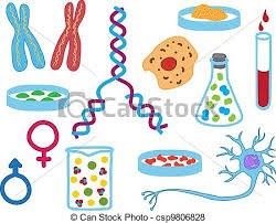 Wojewódzki Konkurs Biologiczny