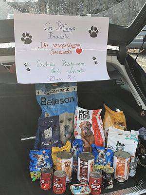 Lubimy pomagać zwierzakom!