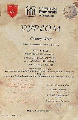 Finalista Matematycznej Ligi Zadaniowej im. Z.Matuskiego
