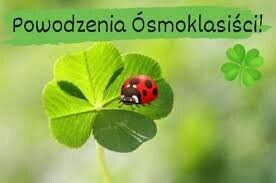 Egzamin ósmoklasisty