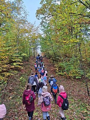 Lekcja przyrody w terenie – klasy 2a i 2b