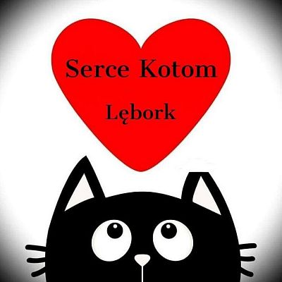 Podaruj odrobinę serca kociakom!