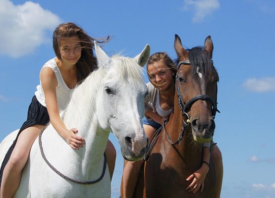 Sekcja Jeździecka grafika