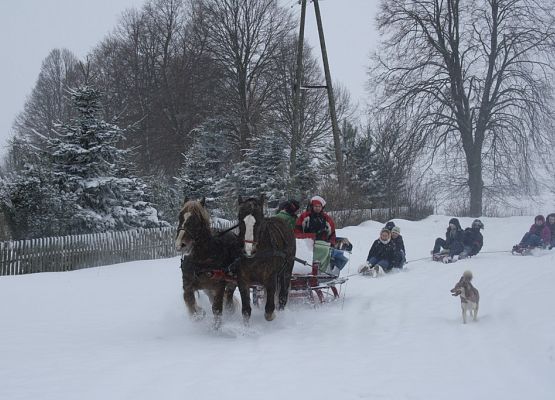 Kulig Sekcja grafika