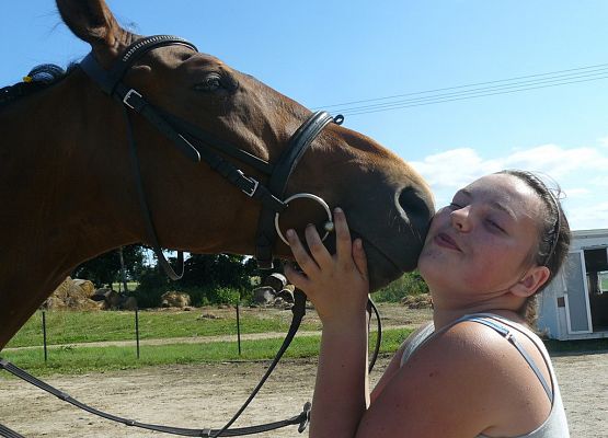 Kocham Konie grafika