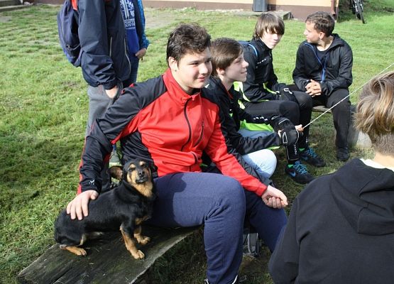 Europejski Dzień bez Samochodu grafika