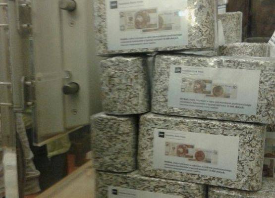 Klasa II b na lekcji edukacyjnej w Narodowym Banku Polskim grafika