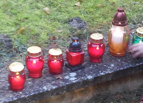 Porządki na Cmentarzu Żołnierzy Radzieckich. grafika