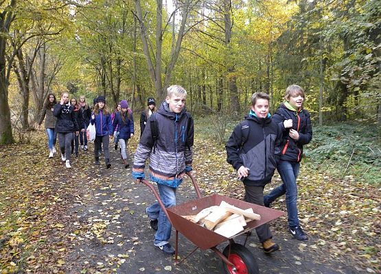 POWIEDZ TO PO ANGIELSKU, POTRAFISZ! /SAY IT IN ENGLISH, YOU CAN! grafika