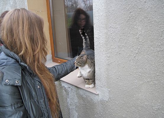 Podaruj psu pełną miskę, okaż serce! grafika