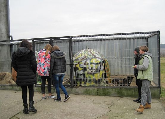 Podaruj psu pełną miskę, okaż serce! grafika