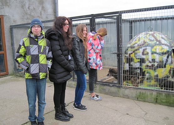 Podaruj psu pełną miskę, okaż serce! grafika