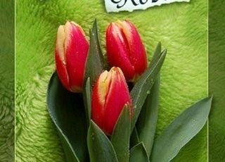 Dzień Kobiet w naszej szkole grafika