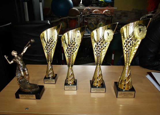 Turniej piłki siatkowej dziewcząt Erasmus+ grafika