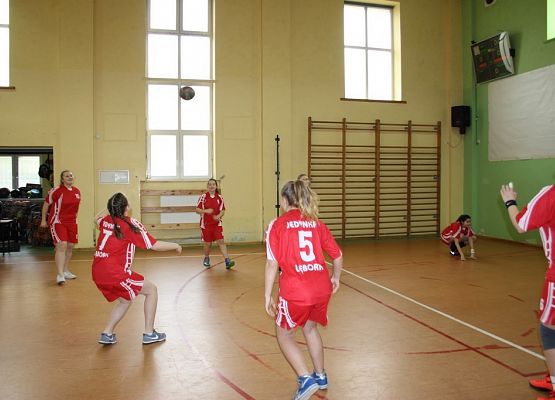 Turniej piłki siatkowej dziewcząt Erasmus+ grafika