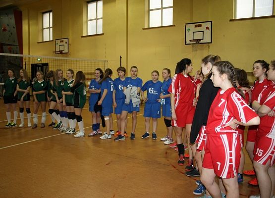 Turniej piłki siatkowej dziewcząt Erasmus+ grafika