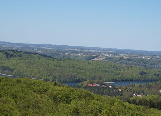 Pierwszoklasiści w Będominie grafika