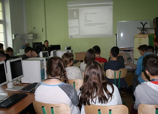 W poszukiwaniu pracy swoich marzeń – lekcja o rynku pracy grafika