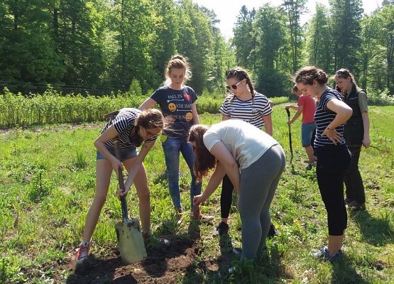 Grupa  Erasmus+   na spotkaniu z pracownikami Nadleśnictwa Lębork grafika