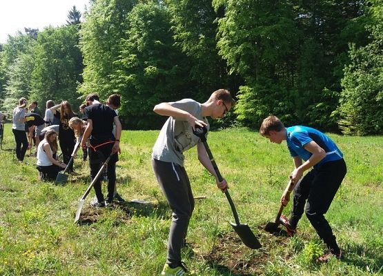 Grupa  Erasmus+   na spotkaniu z pracownikami Nadleśnictwa Lębork grafika