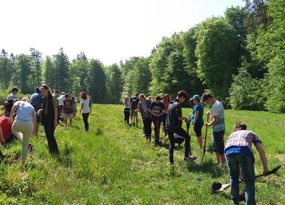 Grupa  Erasmus+   na spotkaniu z pracownikami Nadleśnictwa Lębork grafika