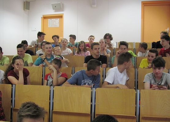 Biomasa energia ekologia grafika