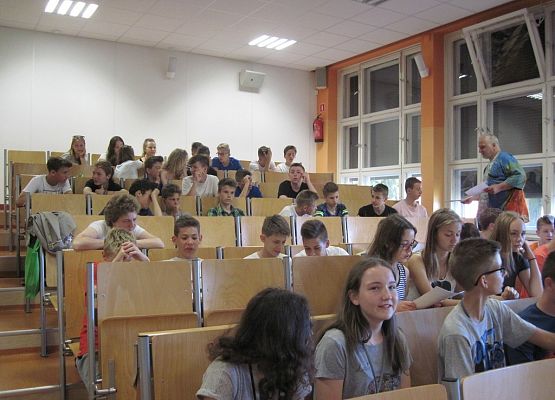 Biomasa energia ekologia grafika