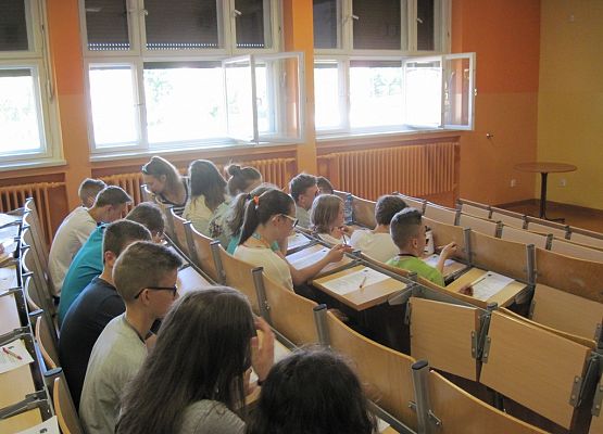 Biomasa energia ekologia grafika