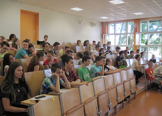 Biomasa energia ekologia grafika