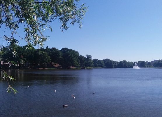 Wycieczka klasy IIb do Stralsundu, Niemcy grafika