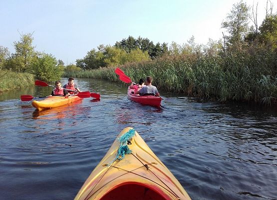 Aktywnie i na sportowo grafika