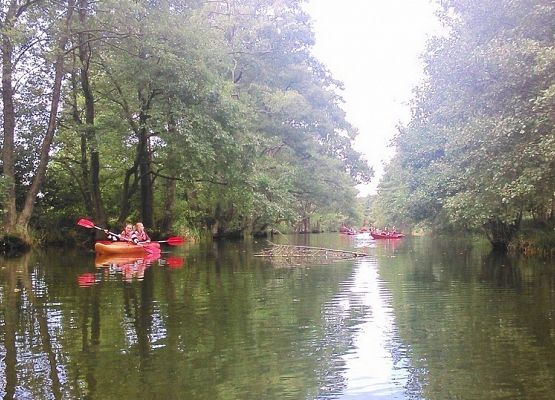 Pożegnanie lata na spływie kajakowym grafika