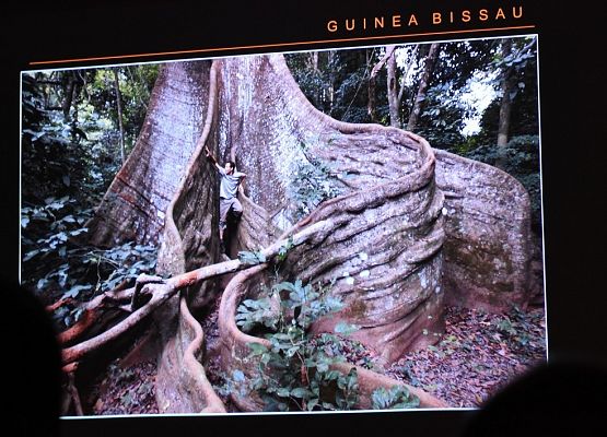 Ciekawa, barwna i nieodkryta Afryka grafika